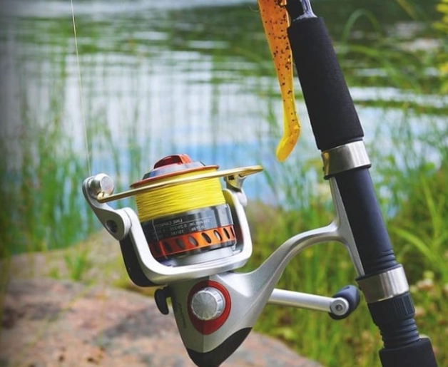 fishing for beginners