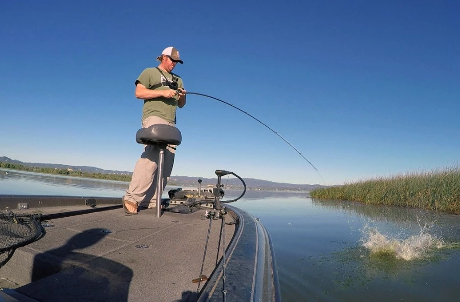 best fishing techniques best fishing techniques