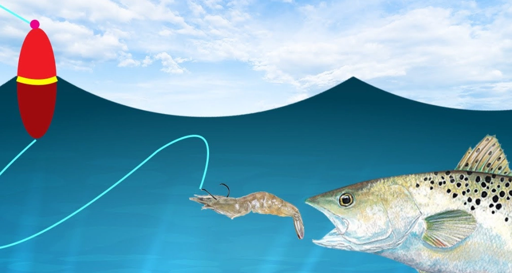 live bait fishing tips