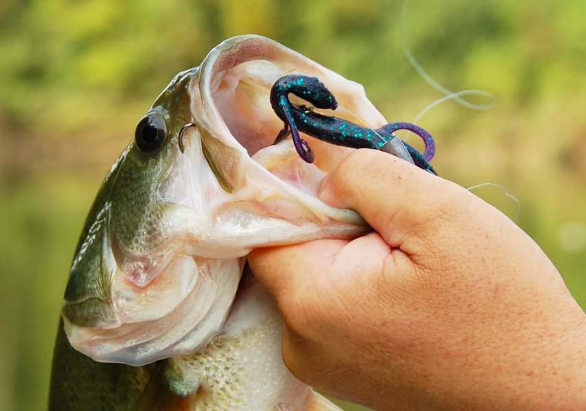 best bass lures