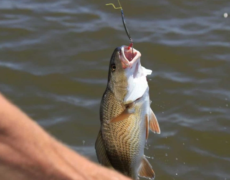 how to start saltwater fishing