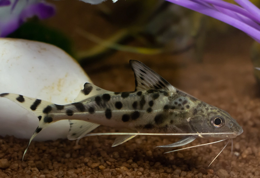 how to start fishing