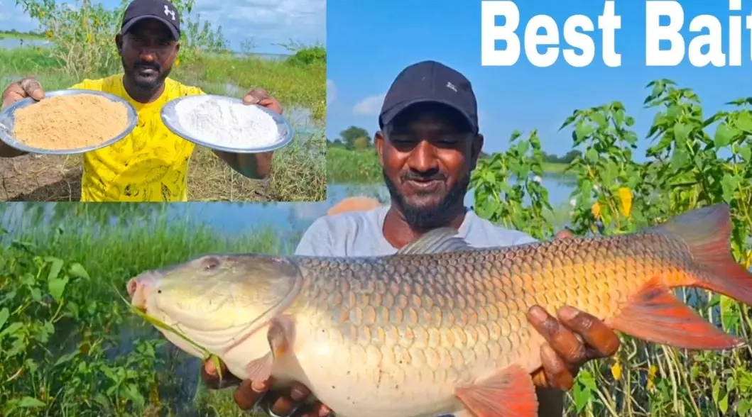 bait fishing techniques