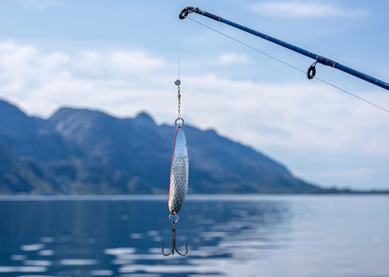 live bait fishing tips