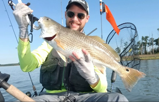 best fishing forecast websites