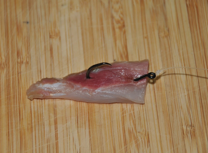 how to fish bait how to fish bait