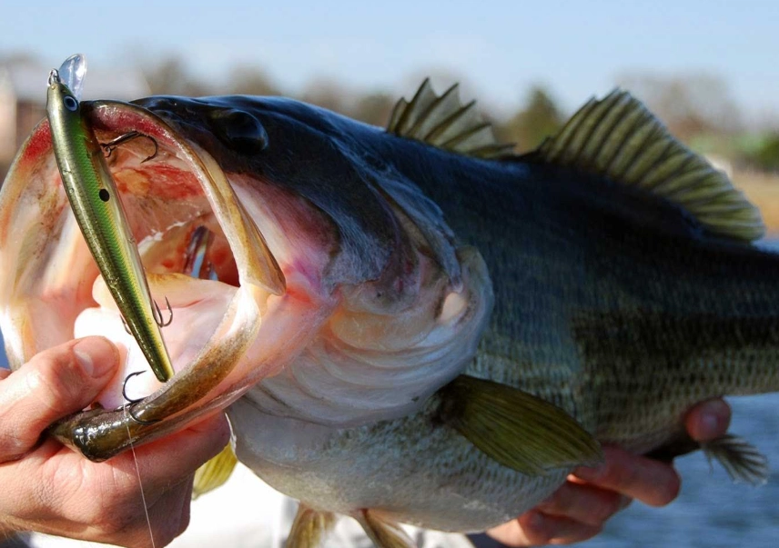 best fishing techniques best fishing techniques