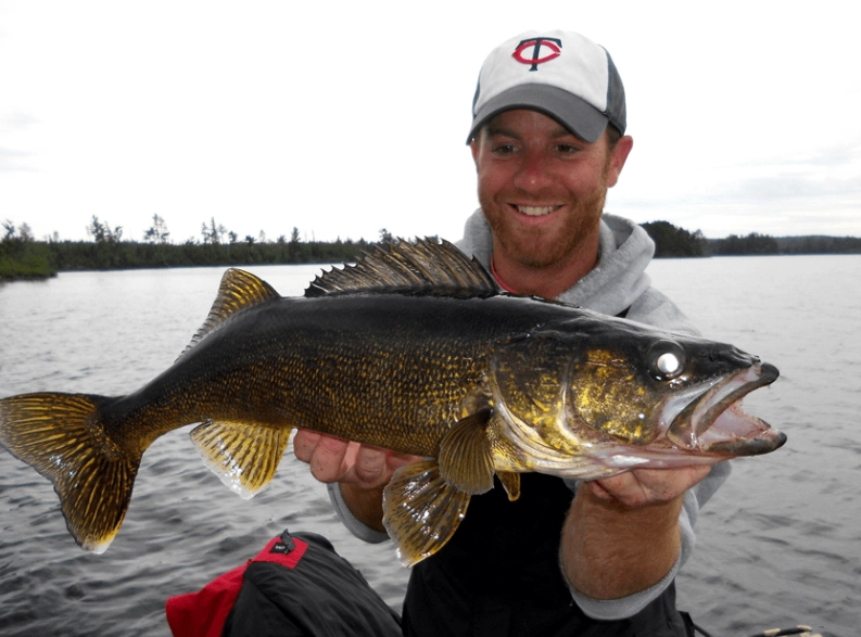 best walleye lures best walleye lures