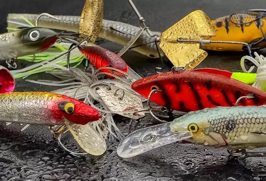 best fishing techniques best fishing techniques