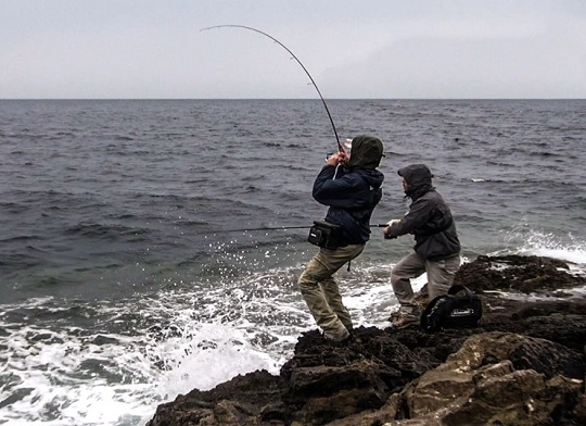 saltwater fishing tips