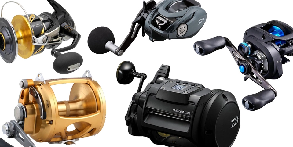 saltwater fishing reel maintenance saltwater fishing reel maintenance