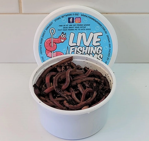 live bait worms