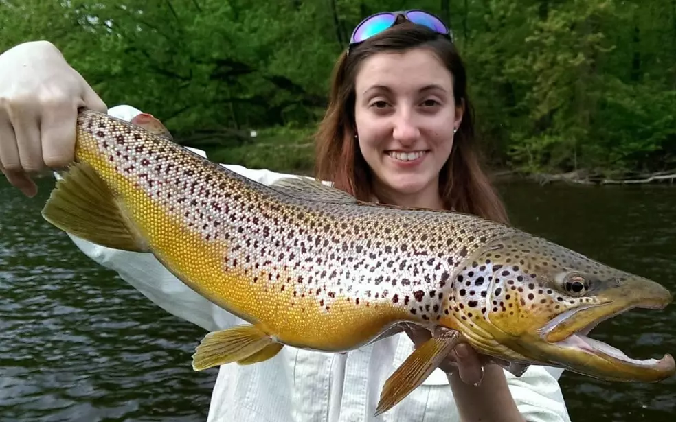 best trout rod and reel