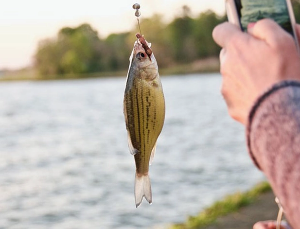 how to fish with minnows