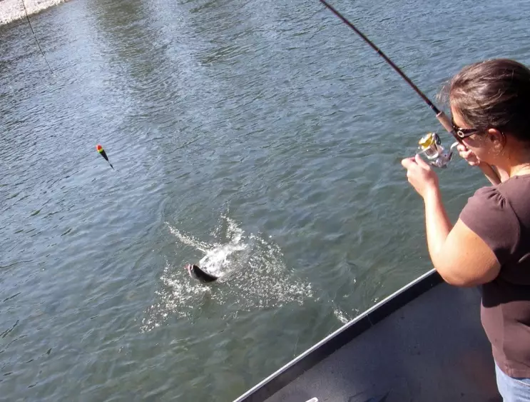 best salmon fishing locations