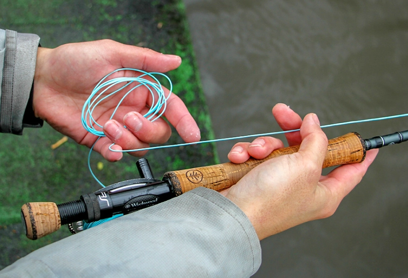 beginner trout fishing gear