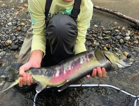 salmon fishing setup for beginners