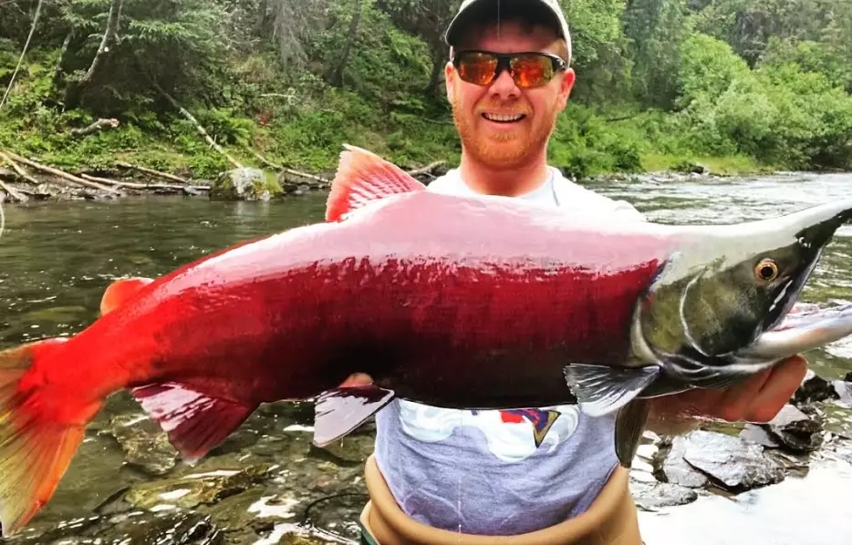 best states for salmon fishing