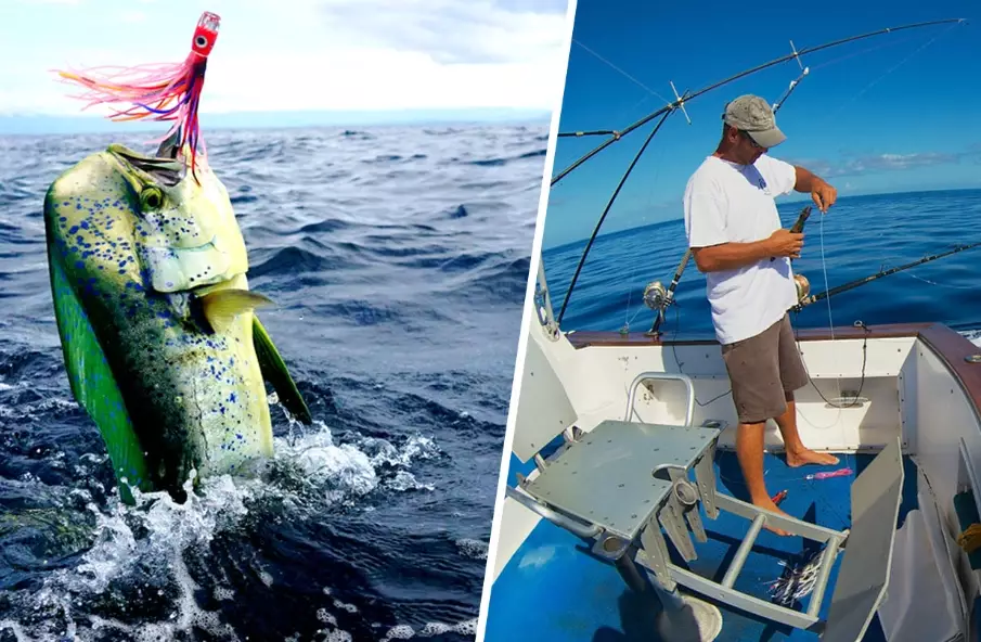 offshore fishing miles