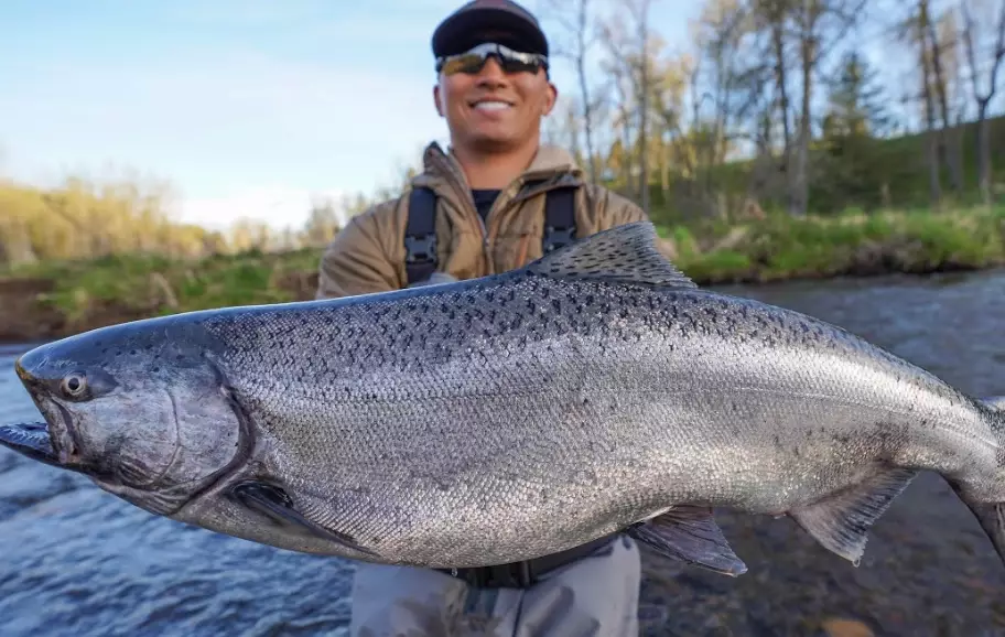 best states for salmon fishing