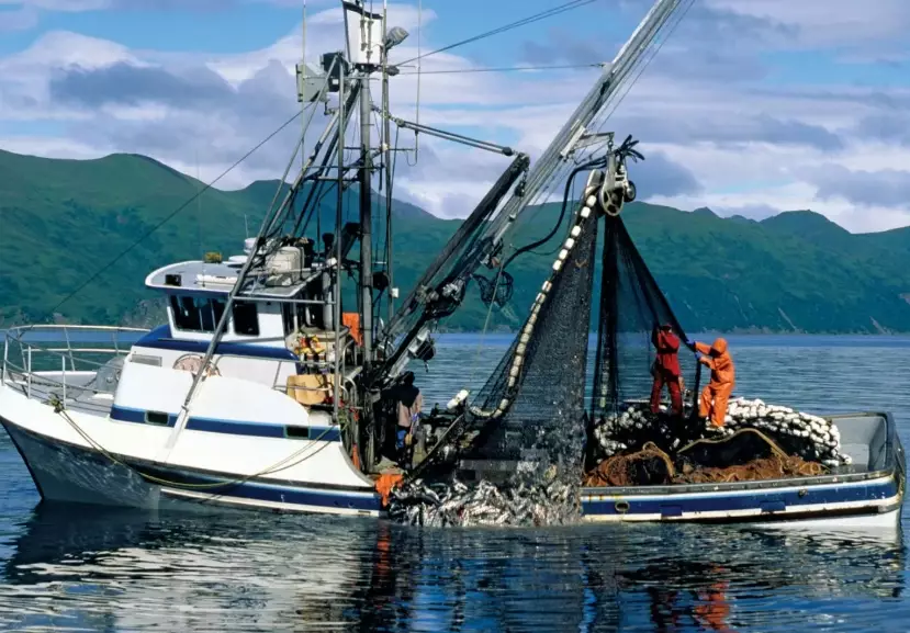 deep sea fishing gear