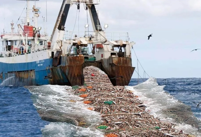 Commercial deep sea fishing