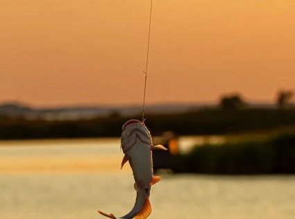 how long for catfish to bite