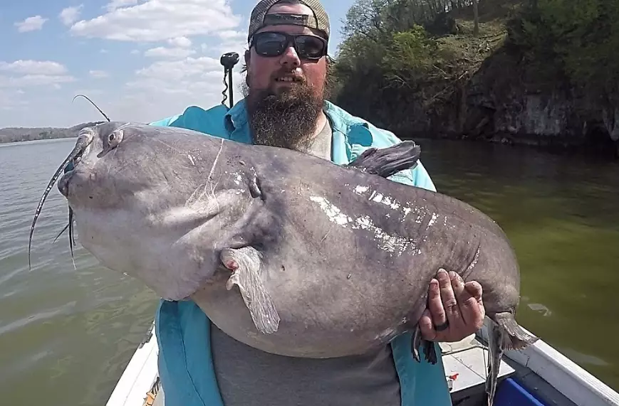 catfishing waiting strategies