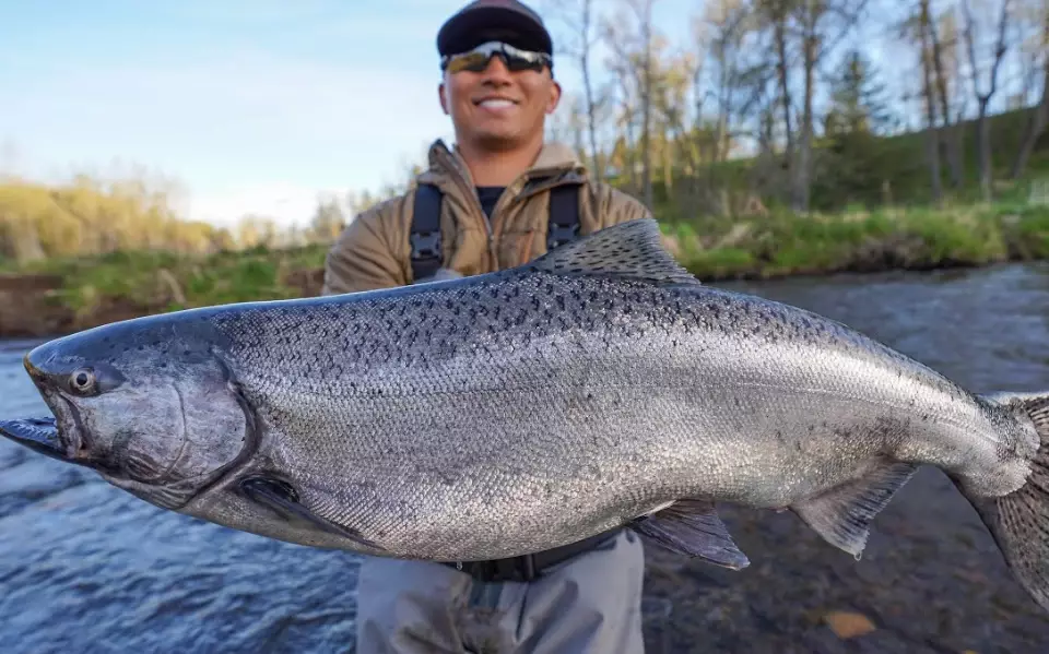 best salmon fishing techniques