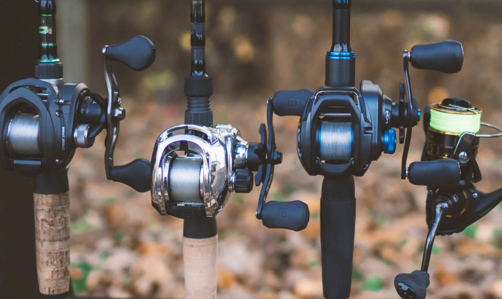 bass fishing rods