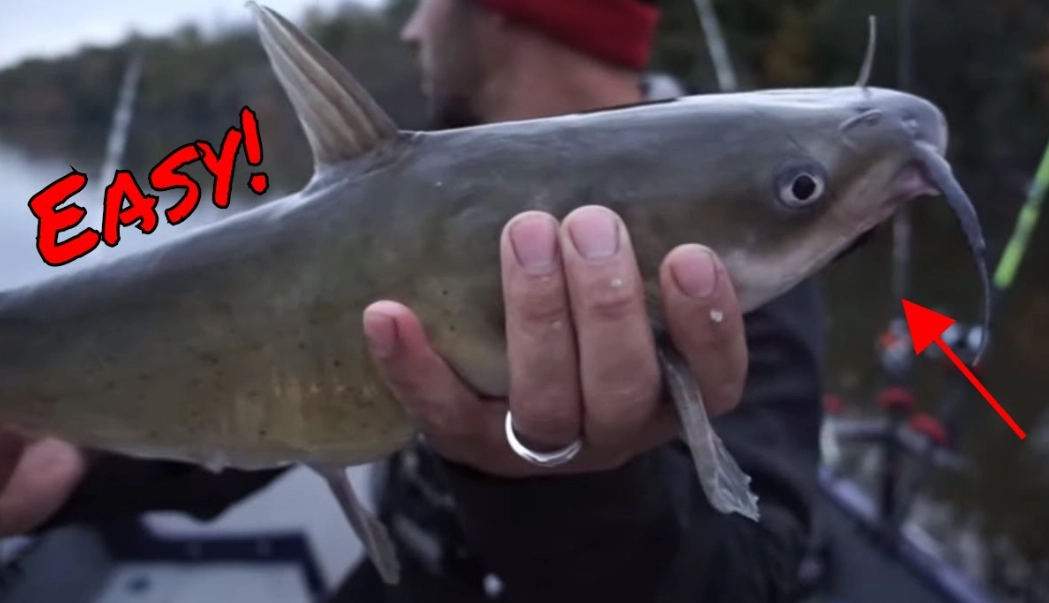 What is the best way to catch catfish?