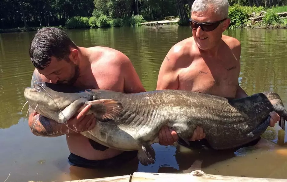 best catfish bait for lakes