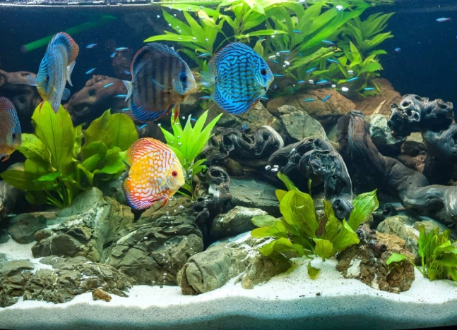 beginner fishing equipment