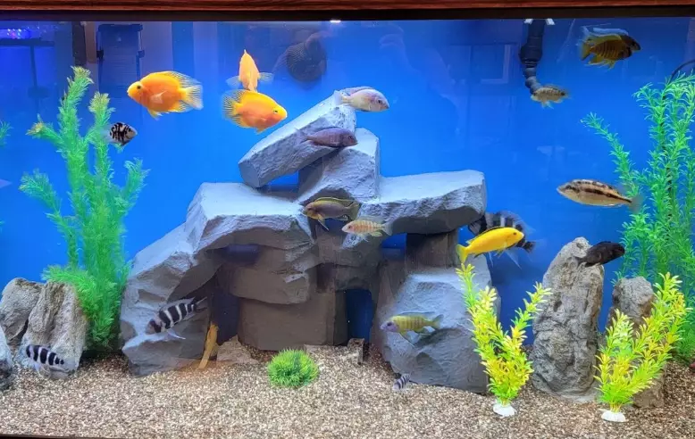 freshwater fishing gear