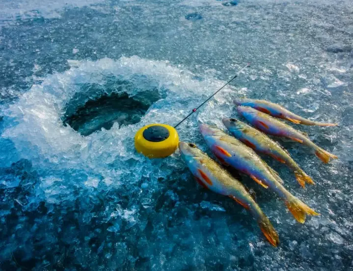 ice fishing tips