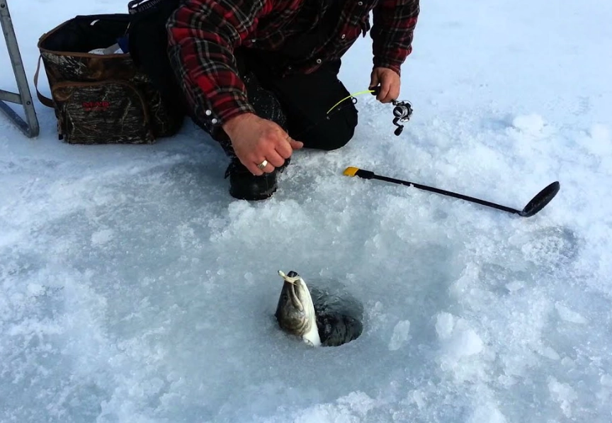 how to catch fish ice fishing