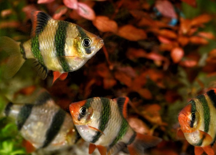 what to bring fishing