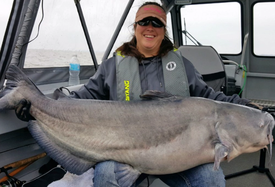 catfish fishing techniques