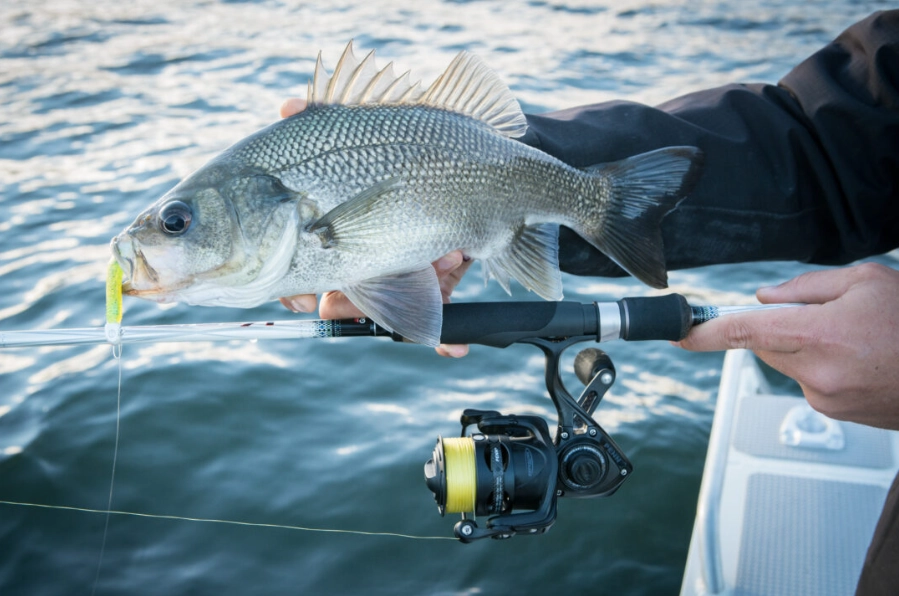 how to start freshwater fishing