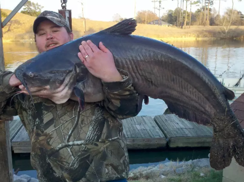 how to hand grab catfish