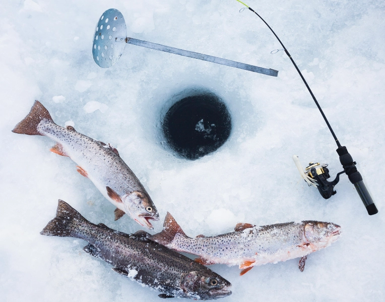 ice fishing purpose ice fishing purpose