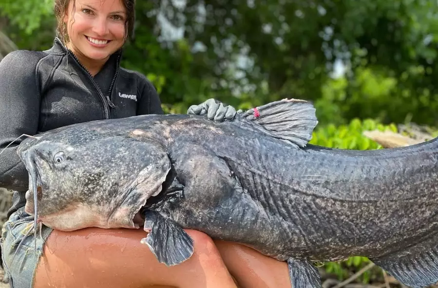 how to hand grab catfish