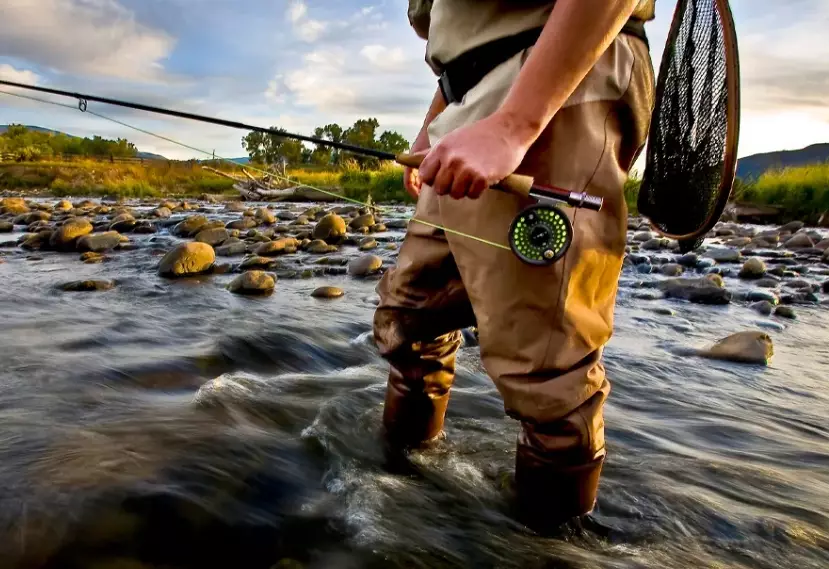 fly fishing rods