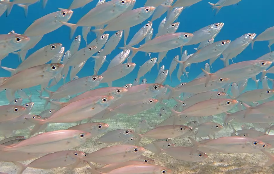 What is the 90/10 rule for bass fishing?