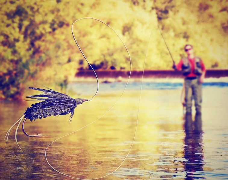how to fly fish how to fly fish