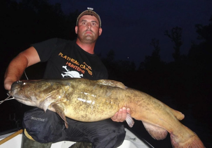 catfish fishing techniques