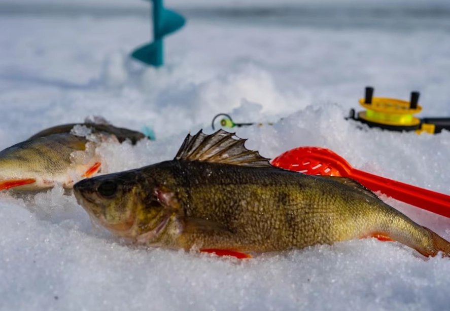 why ice fishing why ice fishing