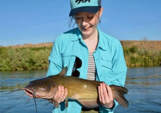 Catfish fishing tips