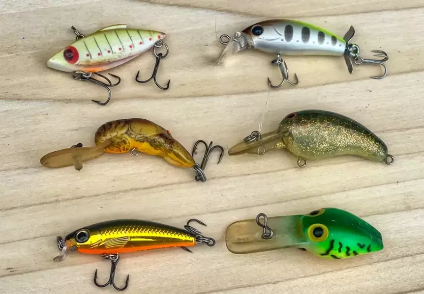 live bait for bass live bait for bass