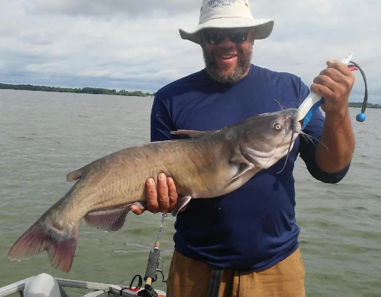 catfishing tips